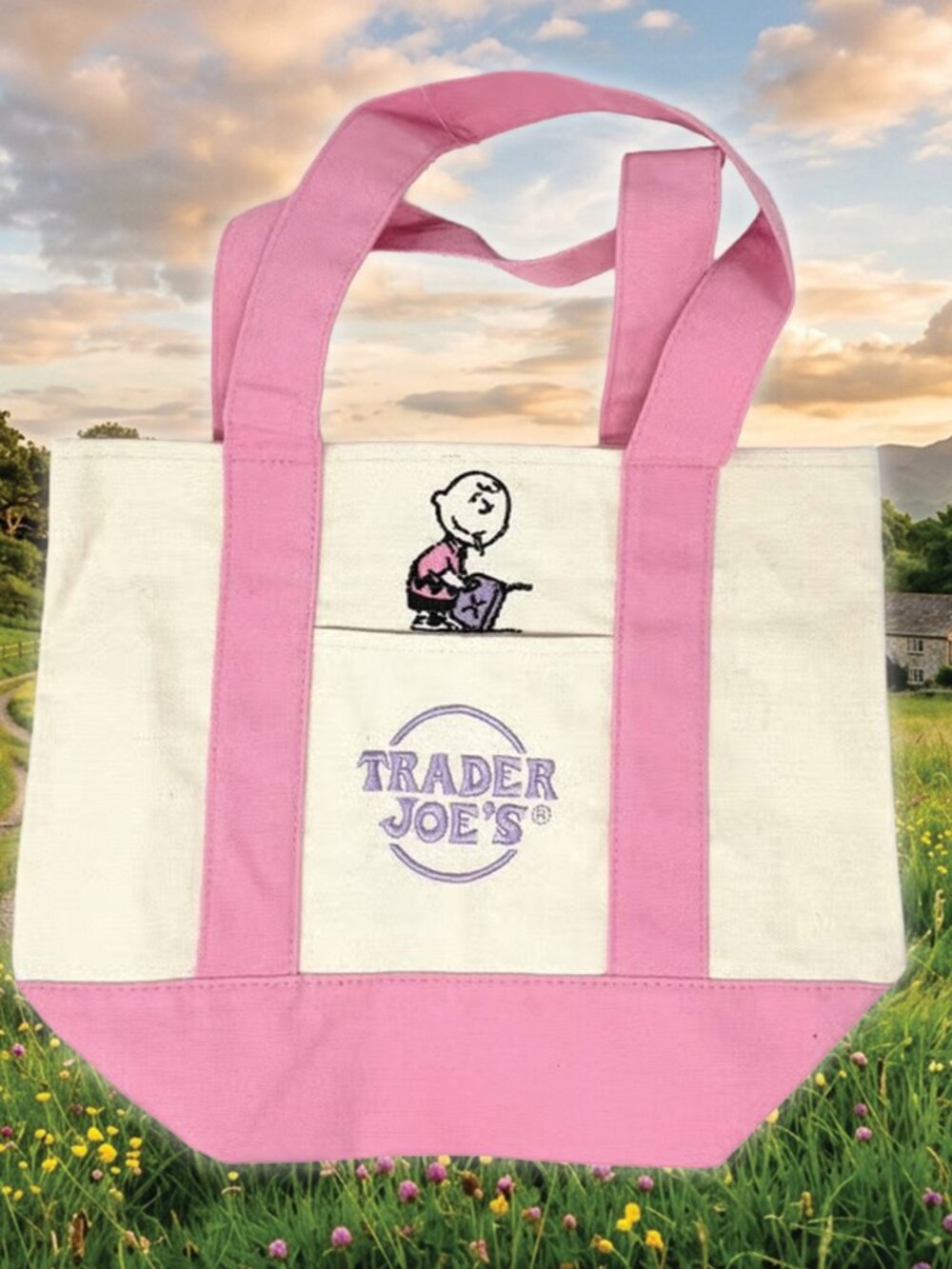 Pink & Cream Canvas Trader Joe’s Mini Custom Easter Tote Bag